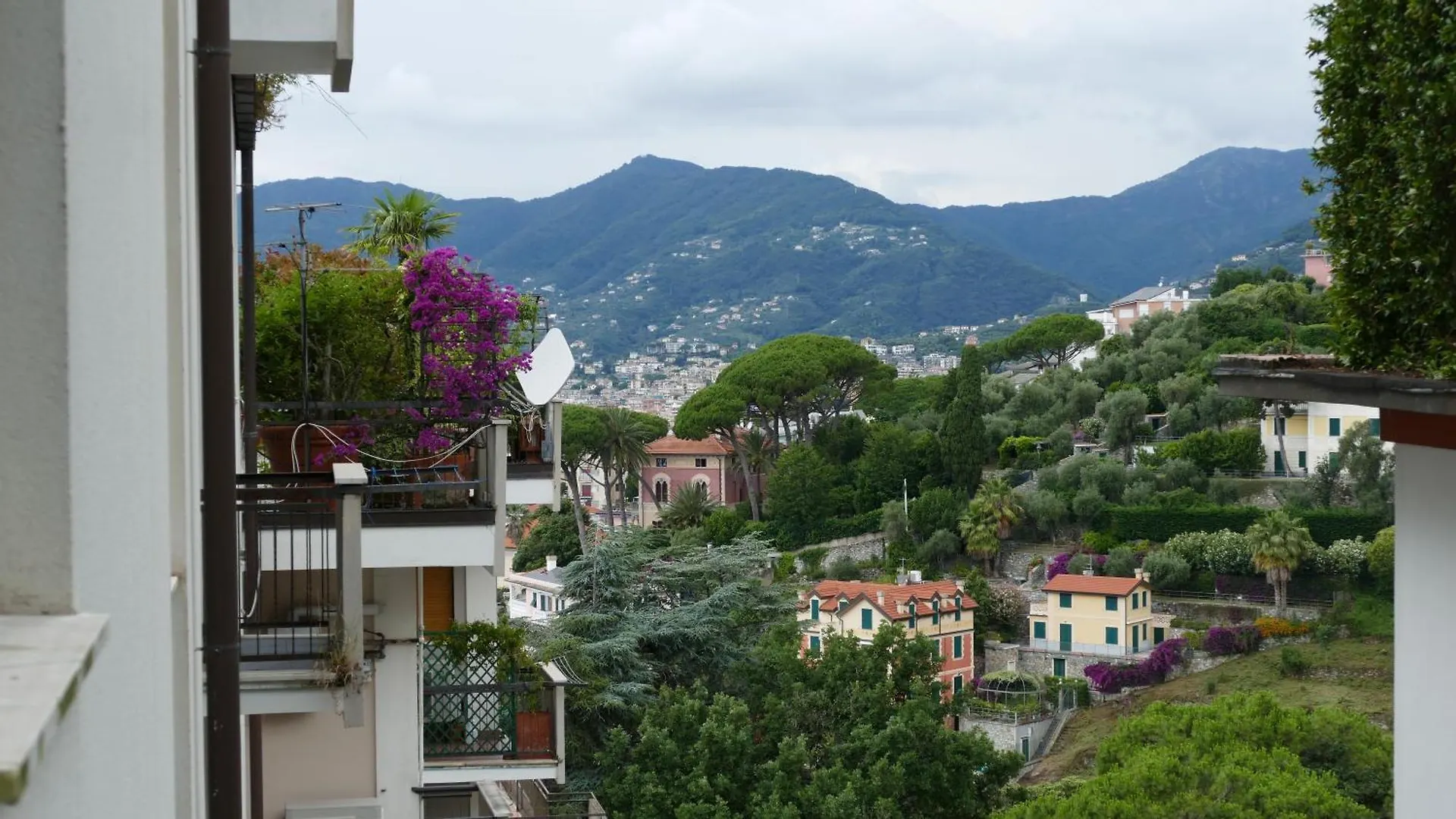 Rifugio Mare E Monti - Zoagli Apartment